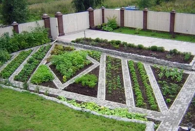 Огороды на участке в современном стиле – 135 лучших фото, ландшафтный  дизайн участка, сада и огорода | Houzz Россия