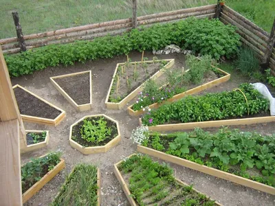 ᐉ Огород может быть красивым • Идеи оформления красивого огорода — полезные  статьи от Decor el Home
