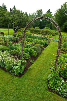 Красивый огород своими руками: стильные грядки — это просто — Roomble.com