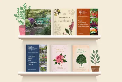 Декоративный огород — идеи для вдохновения и полезные советы — Ботаничка
