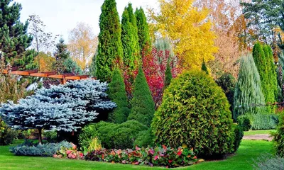 Зеленые участки и сады – 135 лучших фото, ландшафтный дизайн участка, сада  и огорода | Houzz Россия