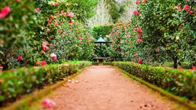 Красивый сад и огород идеи своими руками (36 фото) - красивые картинки и HD  фото