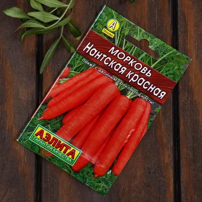 Красная морковь стоковое фото. изображение насчитывающей корни - 36189628