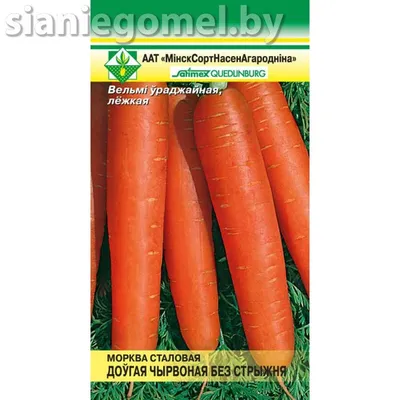 Морковь Красная без сердцевины 10г | Семена моркови | Фиалка.net