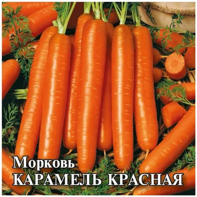 Морковь Нантская Красная, 2 г, купить в интернет магазине Seedspost.ru