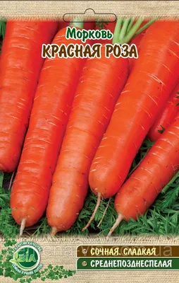 Красная морковь на рынке в Индии Стоковое Фото - изображение насчитывающей  индия, морковь: 32232464