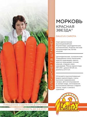 Семена морковь столовая \"Красная Боярыня\" 1.5 гр. купить в Могилеве