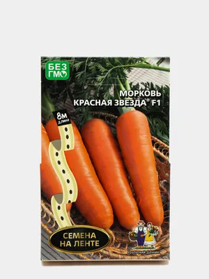 Купить семена Моркови сорта Нантская красная в Украине: Цена,  Характеристики, Отзывы;