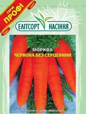 Морковь Красная Звезда купить семена по каталогу почтой, цена, описание  сорта, отзывы, доставка наложенным платежом по России