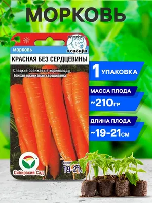 Морковь чурчхела красная, семена, 0,2гр., Польша, (са) (ID#217679953),  цена: 2.30 руб., купить на Deal.by