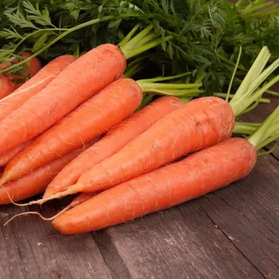 Морковь Красная Боярыня, 10 г купить 〛по выгодной цене в Киеве и Украине |  Фото | Отзывы