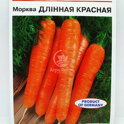 Семена на ленте Морковь \"Красная звезда\" купить по цене 65 ₽ в  интернет-магазине KazanExpress