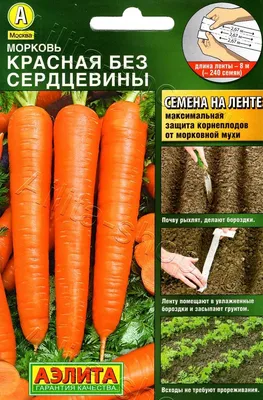 Морковь Красная без сердцевины на ленте 8м, семена | Купить в интернет  магазине Аэлита