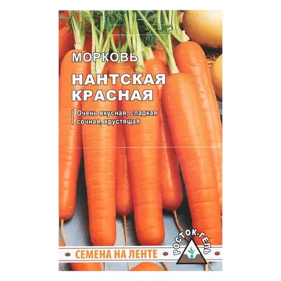 Морковь Красная Звезда F1 300 шт. купить оптом в Томске по цене 26,5 руб.