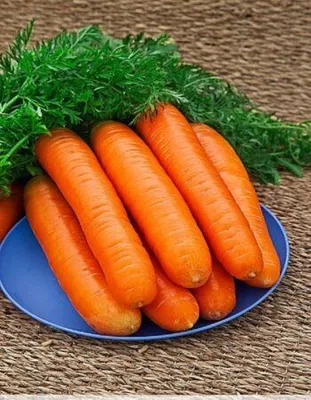 морковь с красной головкой и цветком моркови, удача, морковь, контраст фон  картинки и Фото для бесплатной загрузки