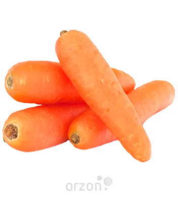 Купить Морковь красная кг в Самарканде, Морковь красная кг с бесплатной  доставкой на дом | Orzon.uz