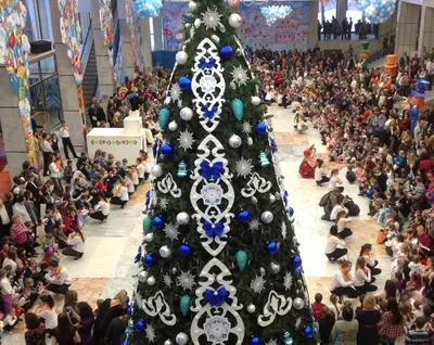 Новогодняя елка в Кремле, Москва - «Разрушили веру в чудо. Ёлка 2024.  Сравнение ёлки крокус с кремлевской ёлкой.» | отзывы