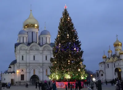 Кремлёвскую ёлку сможет увидеть каждый: новогодний мюзикл 31 декабря  покажут на телеканале «Карусель»