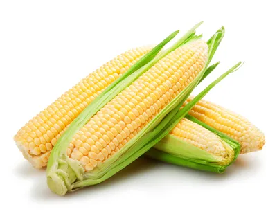 Сорта разноцветной кукурузы, и где ее используют - Agro-Market