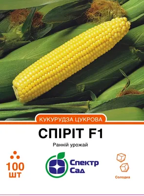 Семена кукурузы сахарной купить оптом и в розницу в Украине | Веснодар