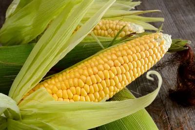 Николь F1 - сахарная кукуруза, 5 000 семян, Clause/Клаус (Франция) - купить  в интернет-магазине fremercentr.ru быстрая доставка. Почтой или ТК.