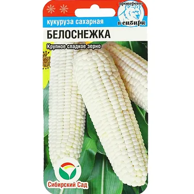 Семена кукурузы — купить в Украине: цена, отзывы на ROZETKA