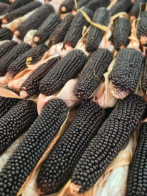 Зерно кукурузы для приготовления попкорна, 300г Купить в Молдове Кишинёве  Цена
