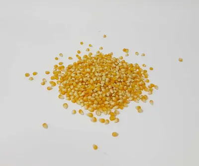Кукуруза для попкорна 5кг зерно для приготовления попкорна (ID#1536159306),  цена: 750 ₴, купить на Prom.ua