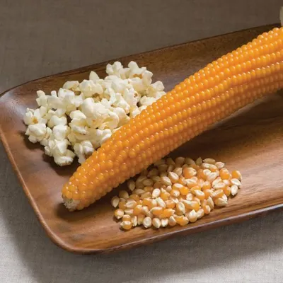 Зерно кукурузы для попкорна Premium Бабочка 1кг