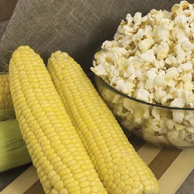 Готовим дома • Popcorn или взорваная кукуруза • Блюда из фасоли, кукурузы,  зеленого горошка