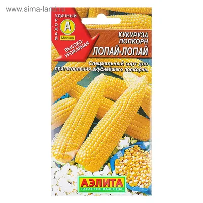 Кукуруза для попкорна ( Зерно кукурузы для приготовления попкорна) NOYER  1100 гр. - купить с доставкой по выгодным ценам в интернет-магазине OZON  (762657205)