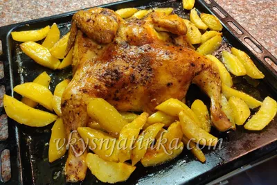 Курица в духовке с картошкой фото фотографии