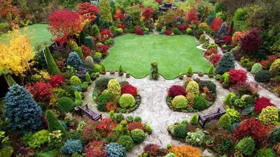 Цветущие и декоративнолистные кустарники - сад декоративный весь год. |  Цветы