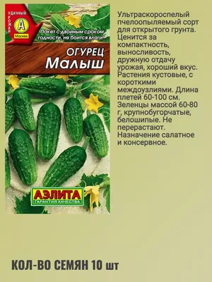 Семена Огурец F1 Ванька-Встанька ®: описание сорта, фото - купить с  доставкой или почтой России