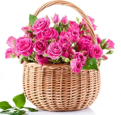 Нежно малиновые кустовые розы за 4 890 руб. | Бесплатная доставка цветов по  Москве