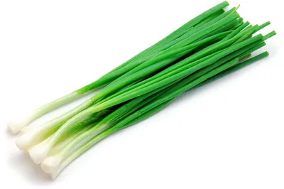 Овощи Латук Зеленый Лук Салат - Бесплатное фото на Pixabay - Pixabay