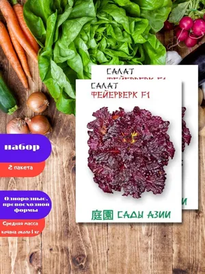 Салат Латук (10 г) - купить Семена зелени в Киеве и Украине, выгодная цена  Салат Латук в интернет-магазине Agrostore ТМ (Агростор)