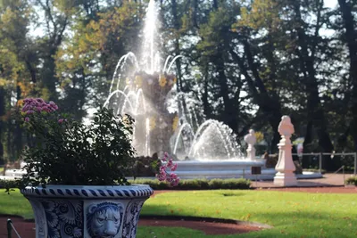 Летний сад, Санкт-Петербург - «Гробы для скульптур Летнего сада уже готовы,  а их тайна раскрыта для всех. Что я унесла с собой из Летнего сада. » |  отзывы
