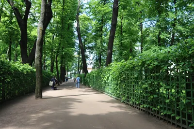 Летний Сад, Санкт-Петербург: лучшие советы перед посещением - Tripadvisor