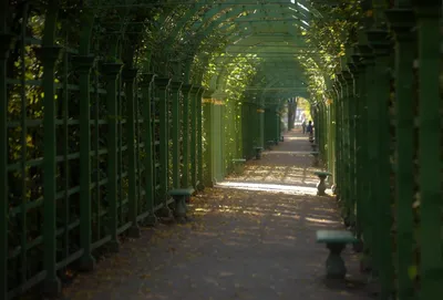 Летний сад: режим работы 2024, стоимость билетов, как добраться, история,  фото | Санкт-Петербург Центр