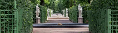 Летний сад, Санкт-Петербург - «Очей очарованье... Золотая осень в Летнем  саду» | отзывы