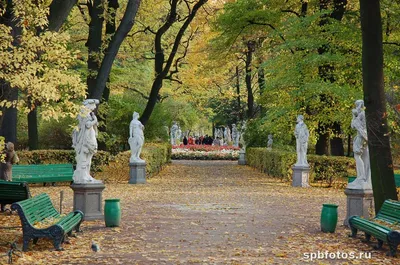 Летний сад осенью в Санкт-Петербурге