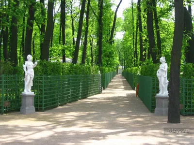File:СПб, Летний сад, виды.jpg - Wikimedia Commons