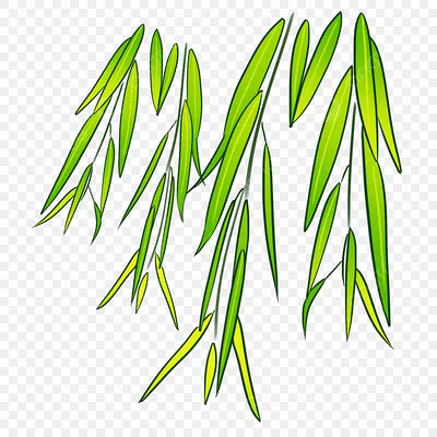 20 шт. искусственные бамбуковые листья, пластиковые одинарные ветки, листья  ивы для сада, комнатное зеленое растение, бамбуковый шест, украшение  «сделай сам» | AliExpress