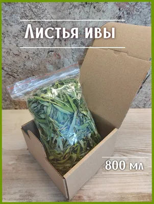 Зеленые листья ивы из фетра. (ID#916818833), цена: 25 ₴, купить на Prom.ua