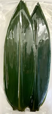 Листья бамбука стоковое изображение. изображение насчитывающей яркое -  34821295