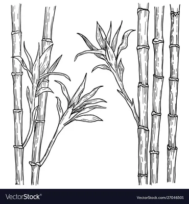 Листья бамбука (S)