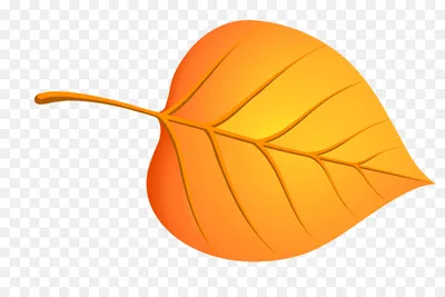 осенние листья березы стоковое изображение. изображение насчитывающей  снаружи - 16040157