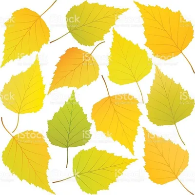 Почему осенние листья разноцветные | Сказоландия | Дзен