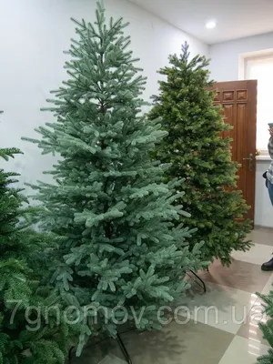 Искусственная елка Ели PENERI Даяна, пленка PVC, зелёная купить в  интернет-магазине Бигарден всего за 3 300 руб. в Москве